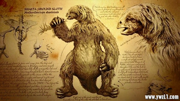 BBC纪录片：[冰河巨兽]/Ice Age Giants 全3集 英文字幕 百度云5461 作者:sky 帖子ID:247989 
