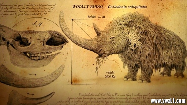 BBC纪录片：[冰河巨兽]/Ice Age Giants 全3集 英文字幕 百度云8841 作者:sky 帖子ID:247989 
