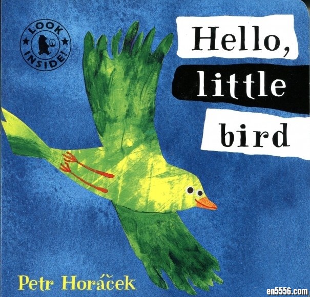 点灯人出品洞洞纸板书《Hello,little bird》高清图页311 作者:one 帖子ID:248299 