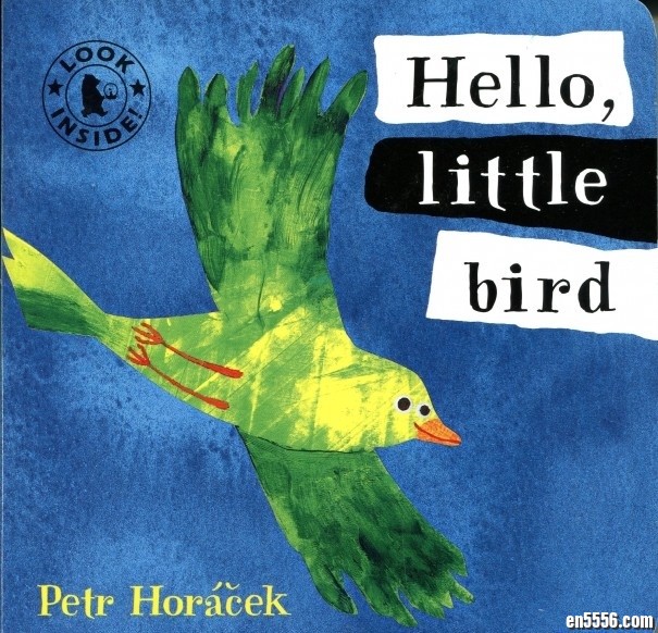 点灯人出品洞洞纸板书《Hello,little bird》高清图页3147 作者:one 帖子ID:248374 