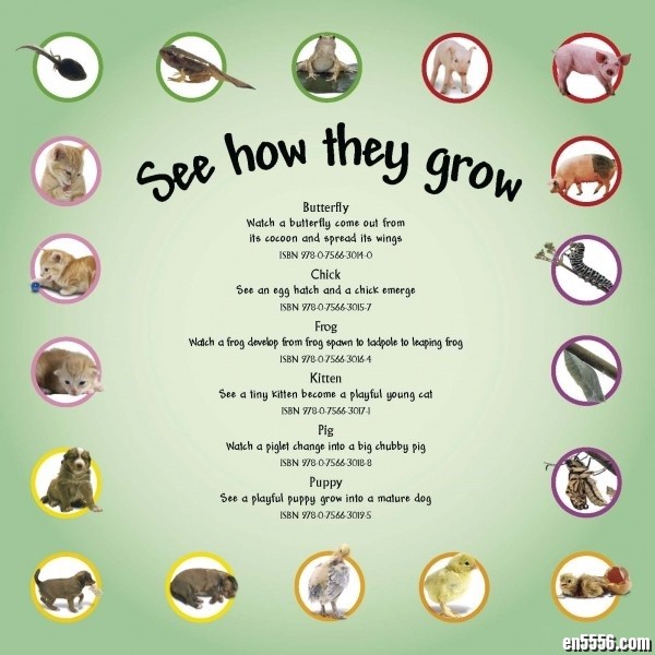 看小动物成长系列绘本12册 See How They Grow2604 作者:one 帖子ID:248403 