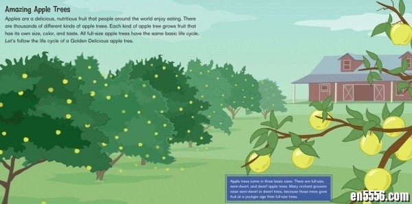 from seed to apple tree 英语原版绘本课外知识1828 作者:one 帖子ID:248576 
