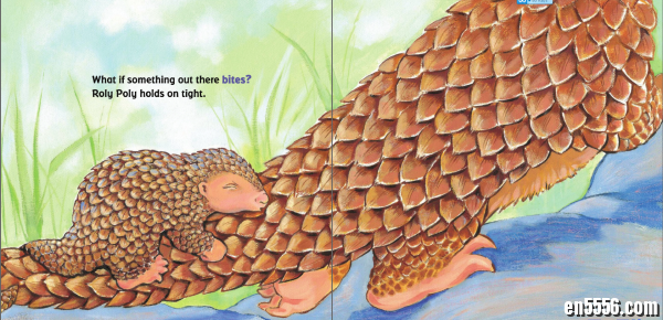 英语绘本: Roly Poly Pangolin (llama llama同作者, 高清PDF版)4390 作者:one 帖子ID:248608 