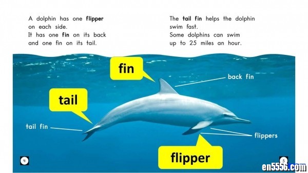 Dolphin Story 英语原版绘本1146 作者:one 帖子ID:248645 