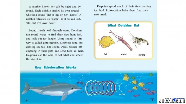 Dolphin Story 英语原版绘本3889 作者:one 帖子ID:248645 