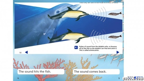 Dolphin Story 英语原版绘本3747 作者:one 帖子ID:248645 