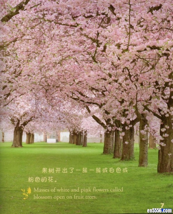 美国国家地理探索四季系列中英文双语高清（套装共4册）[3-6岁]6496 作者:one 帖子ID:248676 