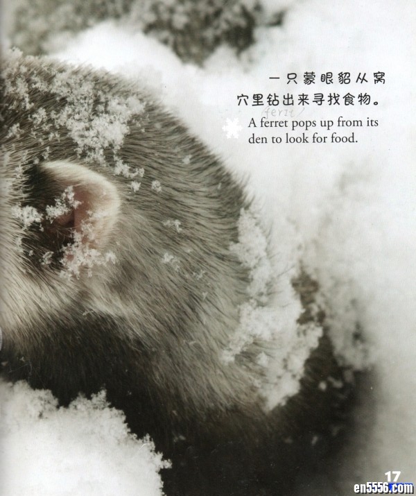 美国国家地理探索四季系列中英文双语高清（套装共4册）[3-6岁]8479 作者:one 帖子ID:248676 