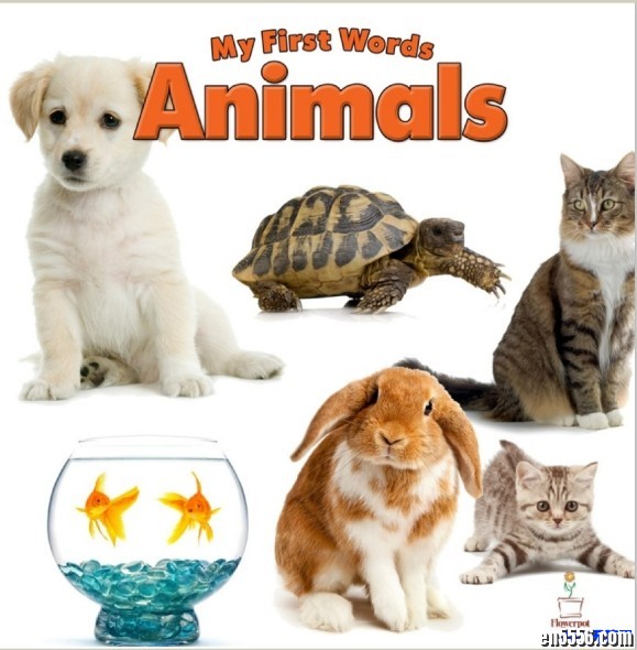 适合4~5岁绘本: 1st Book of Words + My First Words (PDF四本) 英语原版绘本5926 作者:one 帖子ID:248726 