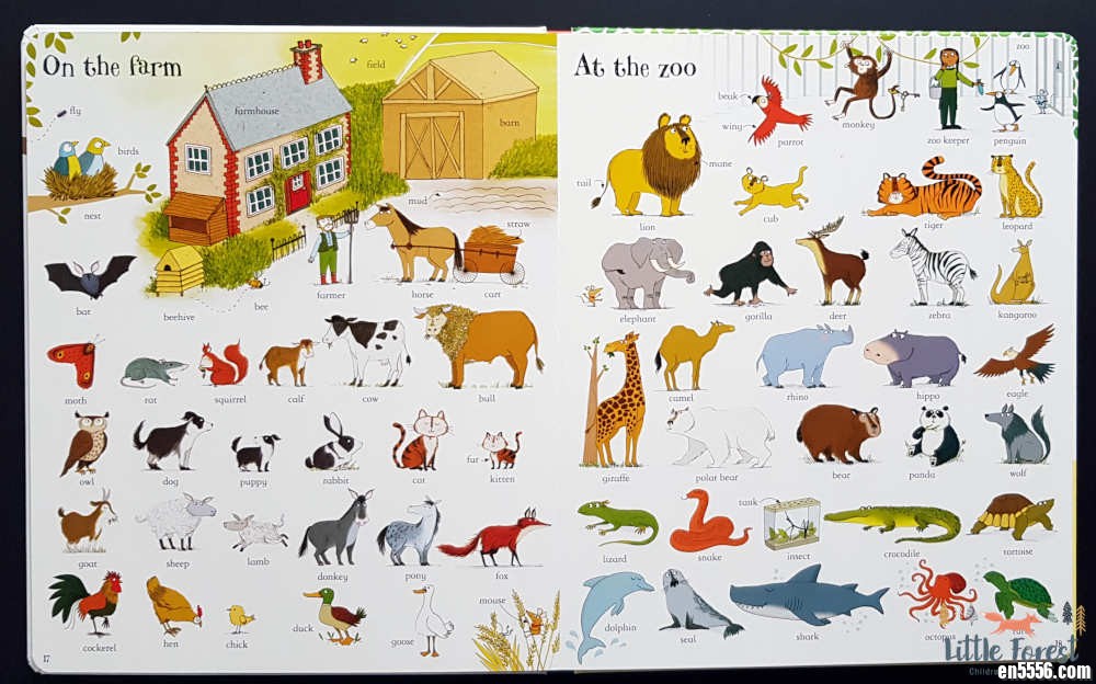 The Usborne Big Book of English Words, 儿童千词英语绘本3793 作者:one 帖子ID:249309 