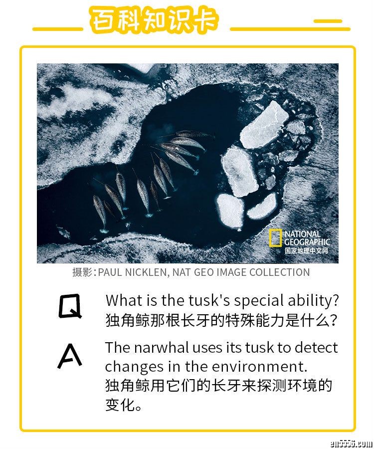 《国家地理双语百科：海洋探秘》6276 作者:one 帖子ID:249433 