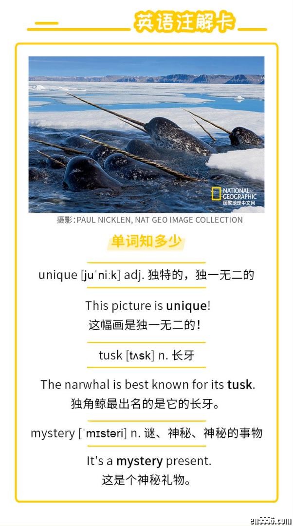 《国家地理双语百科：海洋探秘》4437 作者:one 帖子ID:249433 