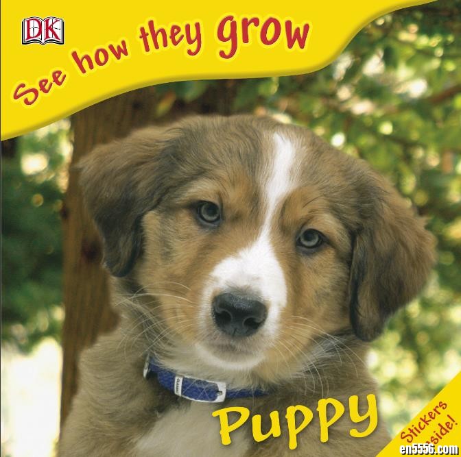 DK See How they Grow系列英语绘本9212 作者:one 帖子ID:249509 