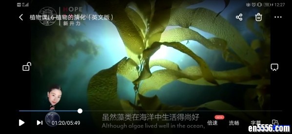 新升力的视频课程-植物的秘密 中英双语两个版本6212 作者:one 帖子ID:249625 
