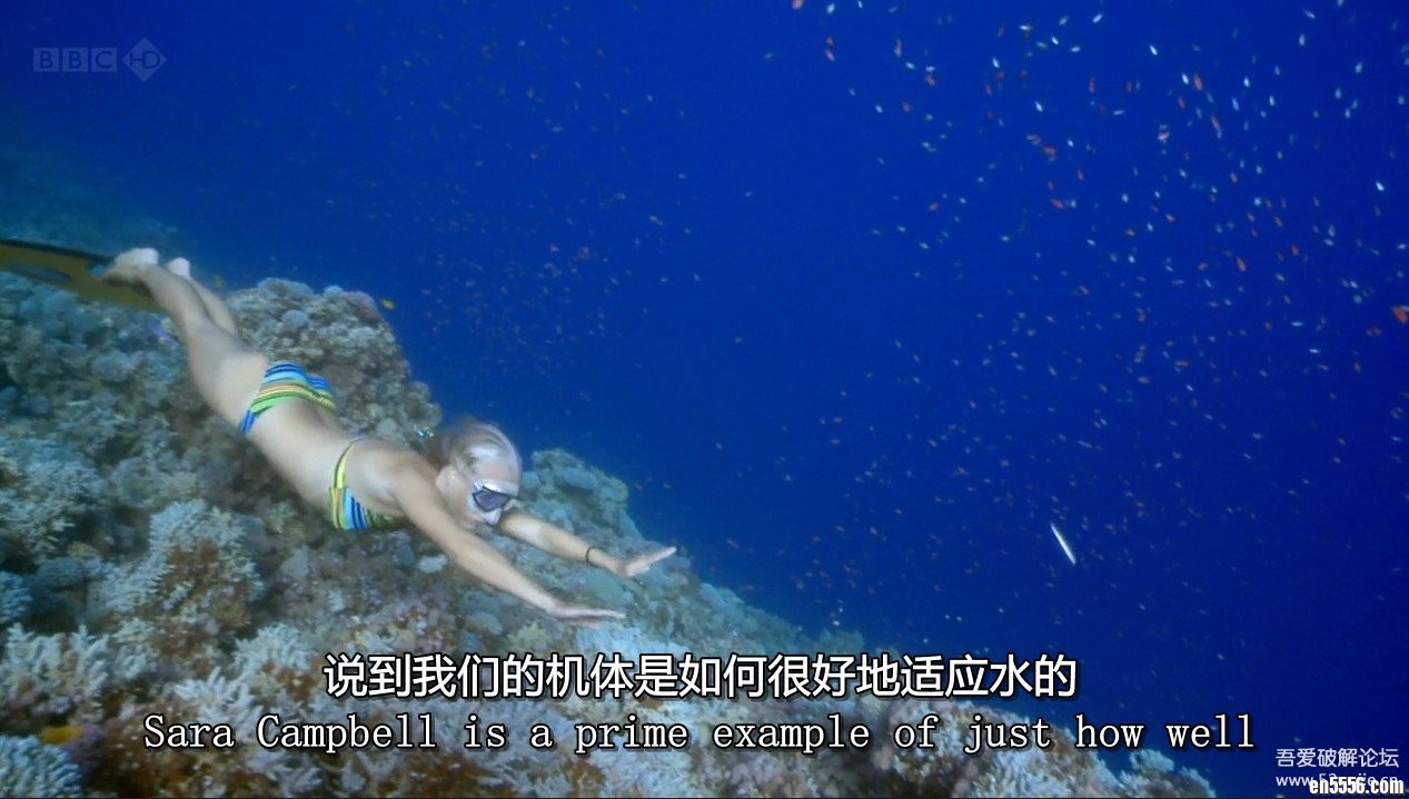 BBC纪录片：《人体耐受极限/勇往直前/大胆去挑战》 全2集 外挂中英双语字幕 720p 百度云1506 作者:one 帖子ID:249643 