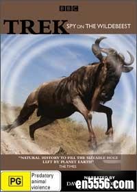 [BBC纪录片]大迁徙：《角马群里的间谍》 / Trek: Spy on the Wildebeest 外挂中英双语/纯英文字幕 720p 百度云6656 作者:one 帖子ID:249644 