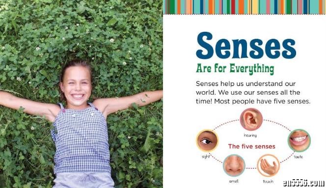 Five senses系列6本pdf2156 作者:one 帖子ID:249674 