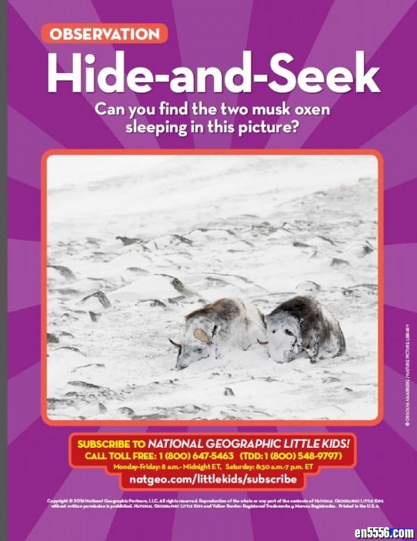 美国国家地理幼儿版 National Geographic Little Kids 2016年 11/12月刊111 作者:one 帖子ID:249837 