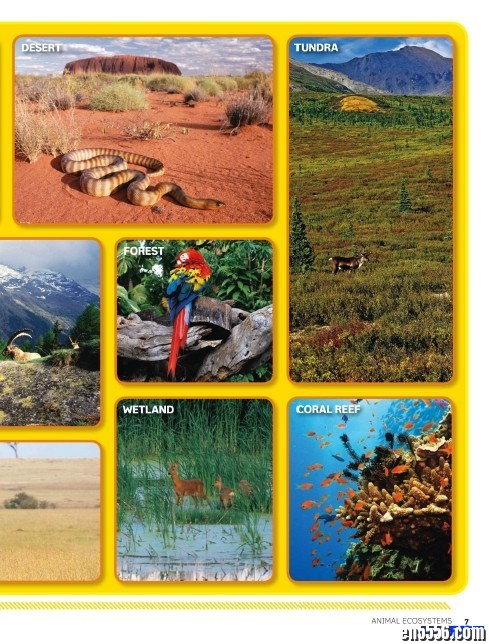 国家地理之野生动物图集 Nat Geo Wild Animal Atlas 高清PDF6786 作者:one 帖子ID:249876 