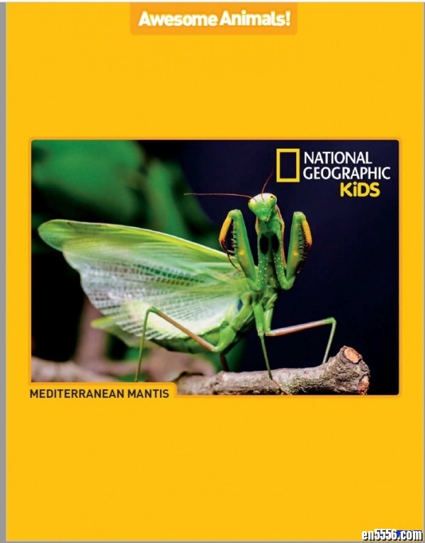 National Geographic KIDS 国家地理儿童版 JUNE / JULY 6-7月刊 20183433 作者:one 帖子ID:249944 