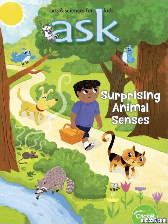 11本杂志2019年1月合集：Storytime, Ask, Babybug, Click, Cobblestone, Cricket, Dig, Faces, Ladybug, Muse, Spider8037 作者:one 帖子ID:250001 