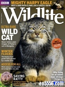 BBC Wildlife 野生动物杂志 2018年(12本)6233 作者:one 帖子ID:250328 