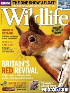 BBC Wildlife 野生动物杂志 2018年(12本)8609 作者:one 帖子ID:250328 