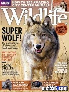 BBC Wildlife 野生动物杂志 2018年(12本)287 作者:one 帖子ID:250328 