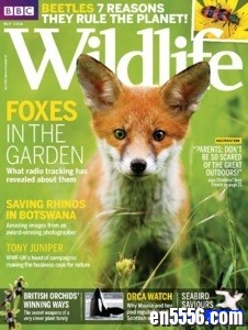 BBC Wildlife 野生动物杂志 2018年(12本)4331 作者:one 帖子ID:250328 