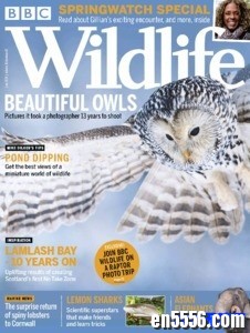 BBC Wildlife 野生动物杂志 2018年(12本)6939 作者:one 帖子ID:250328 