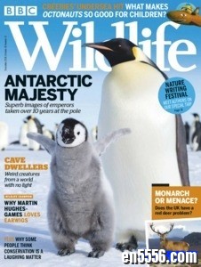 BBC Wildlife 野生动物杂志 2018年(12本)9889 作者:one 帖子ID:250328 