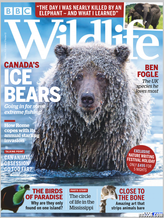 [英国版]BBC Wildlife 野生动物杂志 2019年合集(全12本)4108 作者:one 帖子ID:250329 