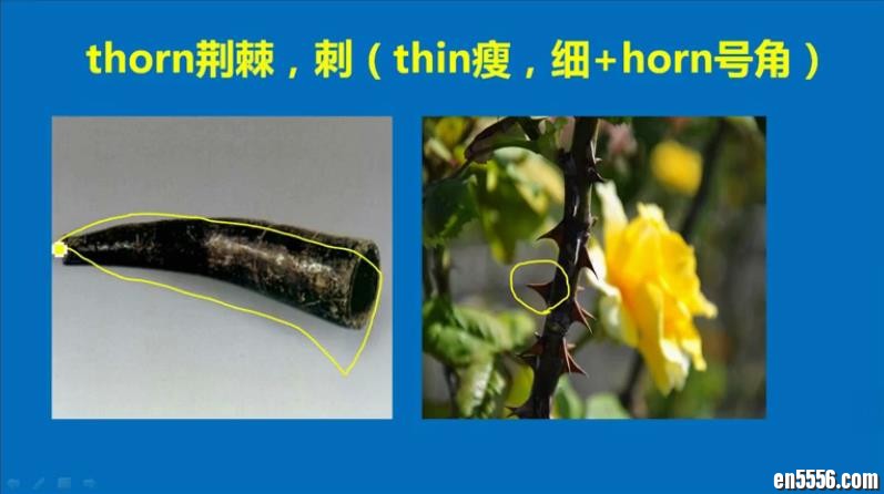 赵铁夫讲单词全集 - 视频下载7799 作者:one 帖子ID:250516 