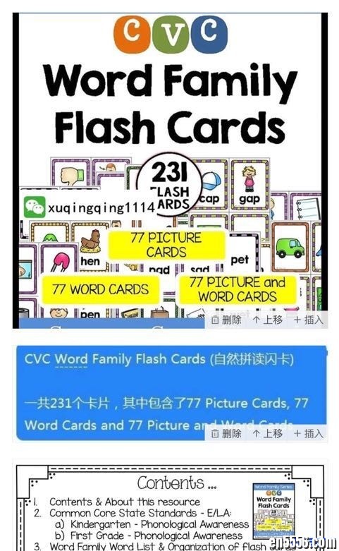 自然拼读闪卡 CVC Word Family Flash Cards 高清PDF (可打印)5609 作者:one 帖子ID:250576 