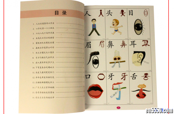 《直映认字》全套 - 儿童早教识字书, 宝宝认字卡片看图识字图书5227 作者:one 帖子ID:251049 