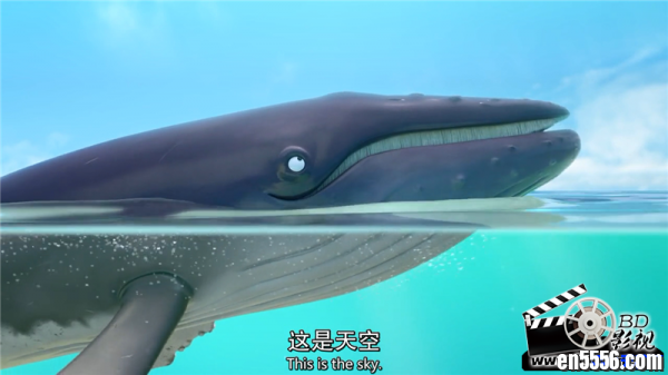 2019 BBC 动画短片《蜗牛和鲸鱼 The Snail and the Whale》HD720P 中英双字3868 作者:one 帖子ID:251479 