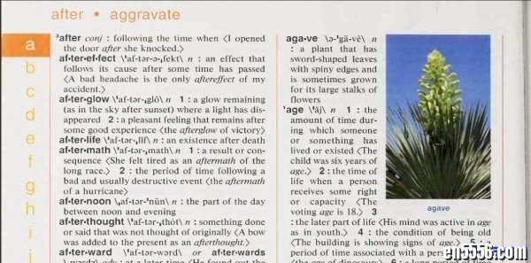 韦氏初级儿童词典 Merriam-Webster's Elementary Dictionary （全彩高清扫描版PDF，带插图，173MB)2155 作者:one 帖子ID:251636 
