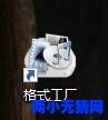 Dinopaw快乐小恐龙 Dinopaws 高清51集 (动画mp4) 全英文 英语 有字幕srt文件 转mp3的方法超级简单4077 作者:one 帖子ID:251647 