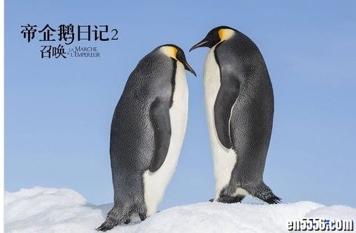 帝企鹅2，孩子们所爱的南极冰雪使者，百度云网盘2095 作者:one 帖子ID:252715 