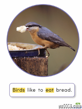 Houghton Mifflin Vocabulary Readers GK-G6 PDF+MP39212 作者:one 帖子ID:253482 