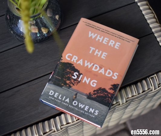 2020年最新畅销书 Dear Edward, Where the Crawdads Sing, Educated-A Memoir 三本epub电子书1011 作者:one 帖子ID:254542 