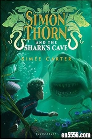 亚马逊的高分探险英文章节小说《Simon Thorn》三本Mobi书+音频MP3219 作者:one 帖子ID:254665 