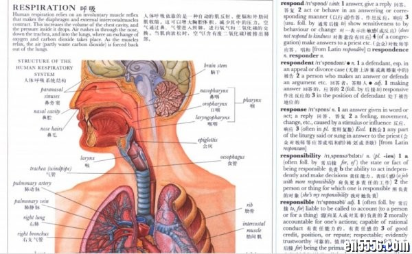 原版字典 牛津英汉双解大词典 插图版 PDF8710 作者:one 帖子ID:254773 