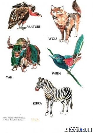 原版字典 DK My First Book of Animals and Birds 首部动物和鸟类书 PDF7638 作者:one 帖子ID:254788 