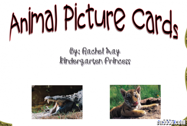 亲子互动 动物卡片 Animal Pic Cards / 百度网盘2673 作者:one 帖子ID:255040 