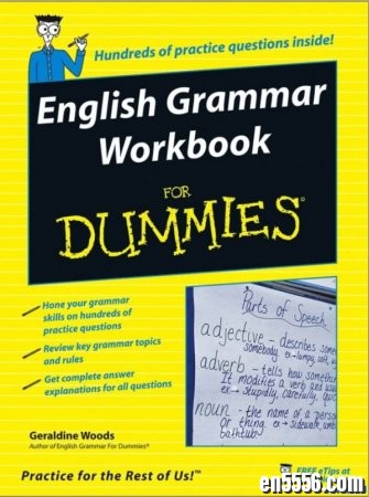 傻瓜也能用的语法手册：English Grammar For Dummies等五本8465 作者:one 帖子ID:256660 