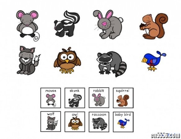 Interactive Vocabulary Books互动单词书，一套13本8030 作者:one 帖子ID:256858 