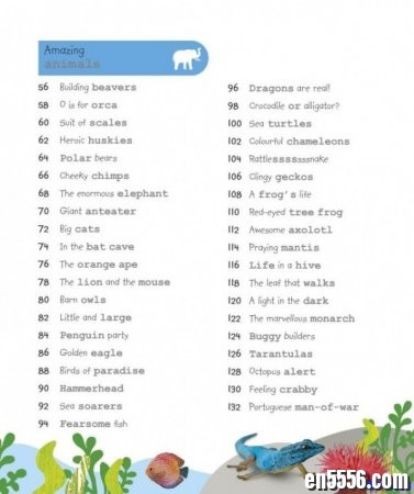 DK幼儿百科全书 那些重要的动物 英文原版 My Encyclopedia of Very Important Animals 高清非扫描626 作者:one 帖子ID:256871 