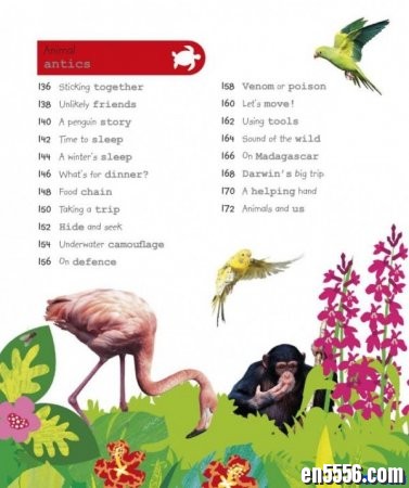 DK幼儿百科全书 那些重要的动物 英文原版 My Encyclopedia of Very Important Animals 高清非扫描4090 作者:one 帖子ID:256871 