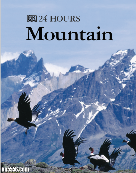 [DK系列] Mountain (DK 24 HOURS)8557 作者:lj007008 帖子ID:257478 